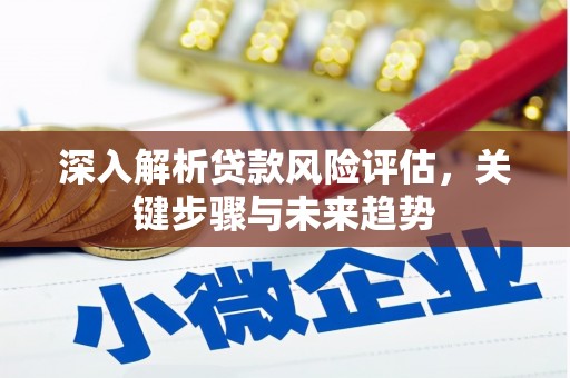 圣方济各堂区深入解析贷款风险评估，关键步骤与未来趋势