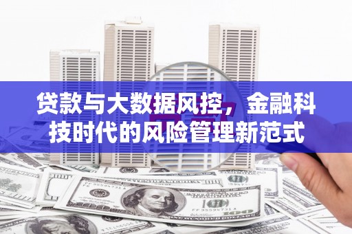 望谟贷款与大数据风控，金融科技时代的风险管理新范式