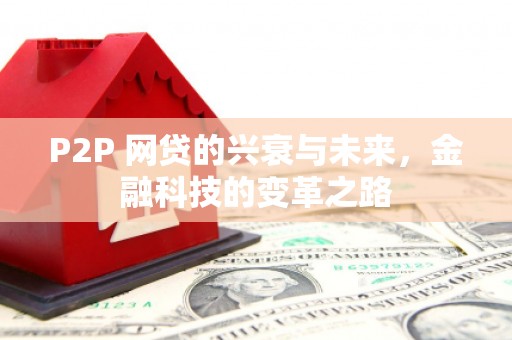六枝P2P 网贷的兴衰与未来，金融科技的变革之路