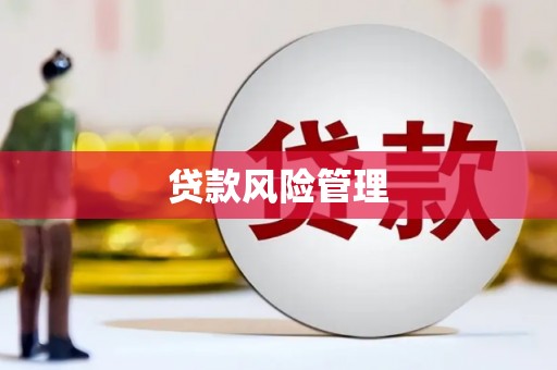 杂多贷款风险管理