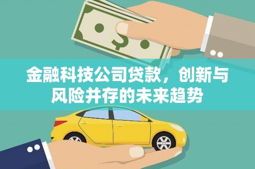 沙鹿金融科技公司贷款，创新与风险并存的未来趋势