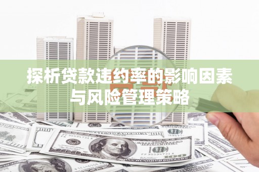 东源探析贷款违约率的影响因素与风险管理策略