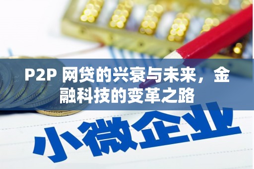 利辛P2P 网贷的兴衰与未来，金融科技的变革之路