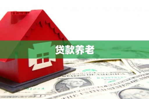 西双版纳贷款养老