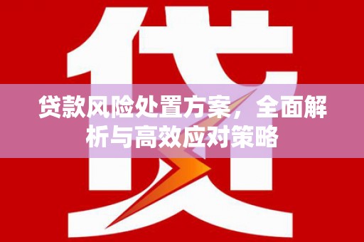 颍泉贷款风险处置方案，全面解析与高效应对策略