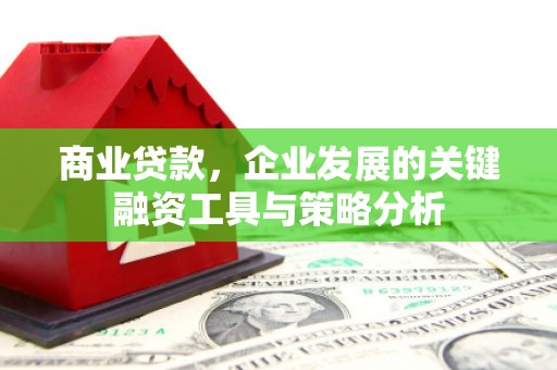循化商业贷款，企业发展的关键融资工具与策略分析