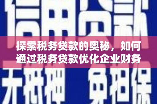 江夏探索税务贷款的奥秘，如何通过税务贷款优化企业财务