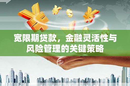 颍泉宽限期贷款，金融灵活性与风险管理的关键策略