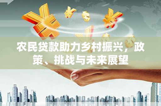 天元农民贷款助力乡村振兴，政策、挑战与未来展望