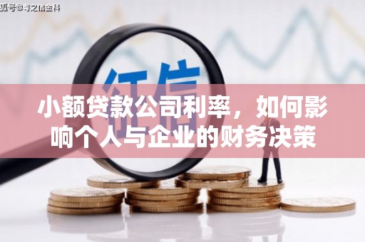 南充小额贷款公司利率，如何影响个人与企业的财务决策
