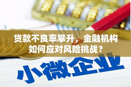 天门贷款不良率攀升，金融机构如何应对风险挑战？