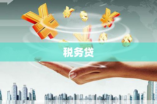 港闸税务贷