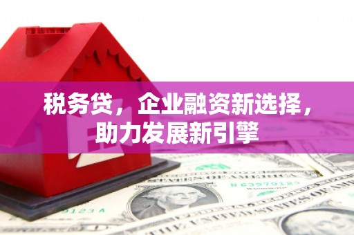 湖西税务贷，企业融资新选择，助力发展新引擎