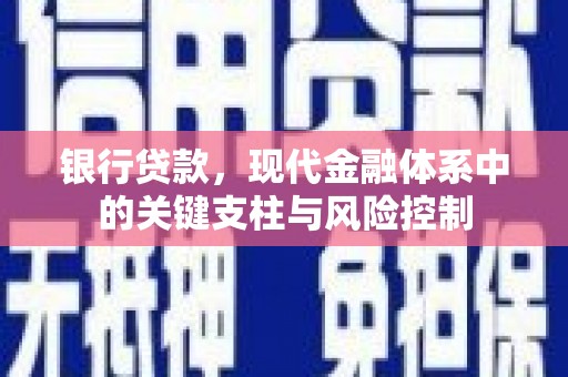 沧县银行贷款，现代金融体系中的关键支柱与风险控制