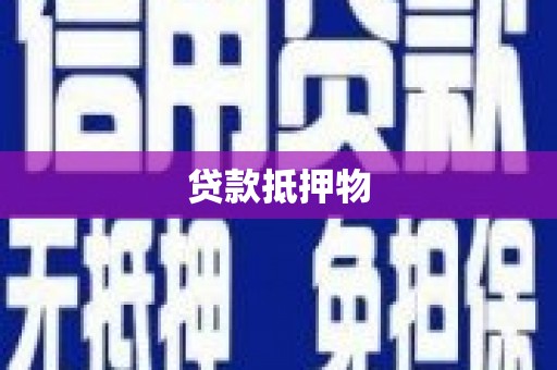 兴文贷款抵押物