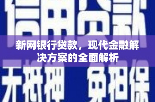 石排新网银行贷款，现代金融解决方案的全面解析