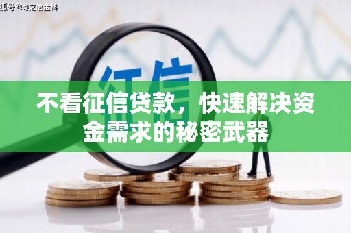 尼勒克不看征信贷款，快速解决资金需求的秘密武器