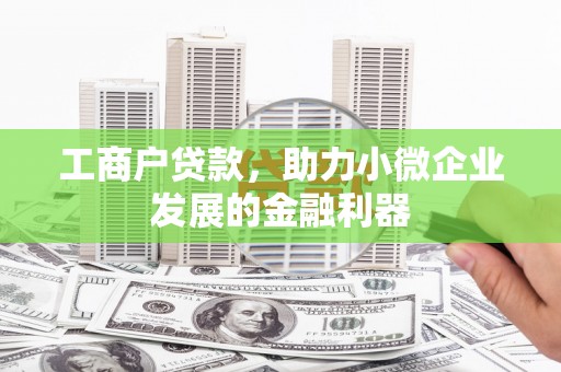 龙湾工商户贷款，助力小微企业发展的金融利器