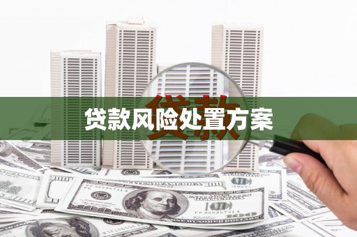 临高贷款风险处置方案