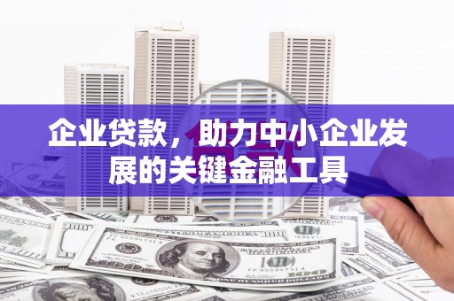 虾峙企业贷款，助力中小企业发展的关键金融工具
