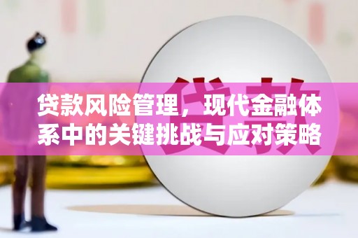 二七贷款风险管理，现代金融体系中的关键挑战与应对策略