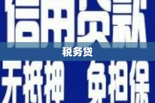 贞丰税务贷