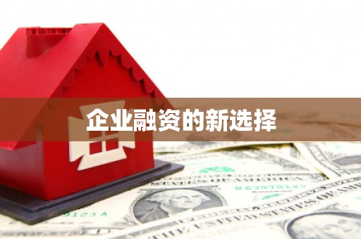 汇川企业融资的新选择