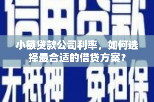 京口小额贷款公司利率，如何选择最合适的借贷方案？