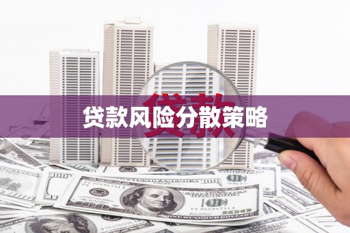 贵南贷款风险分散策略