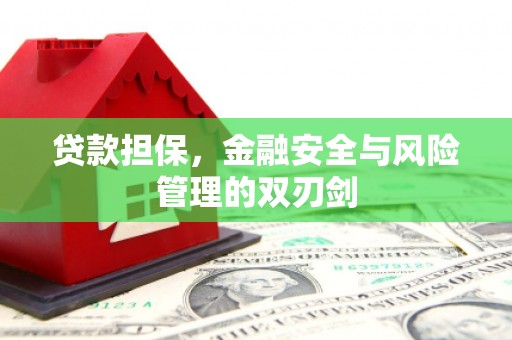 茌平贷款担保，金融安全与风险管理的双刃剑