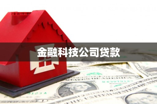 中和金融科技公司贷款