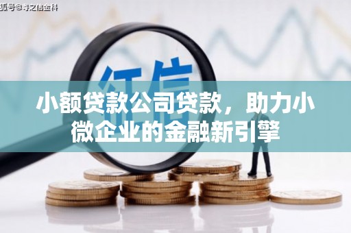 镇巴小额贷款公司贷款，助力小微企业的金融新引擎