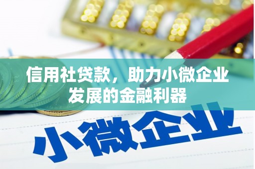 龙川信用社贷款，助力小微企业发展的金融利器