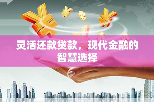 乐陵灵活还款贷款，现代金融的智慧选择