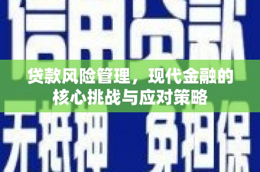 进贤贷款风险管理，现代金融的核心挑战与应对策略
