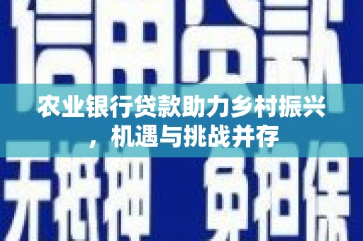 湖内农业银行贷款助力乡村振兴，机遇与挑战并存
