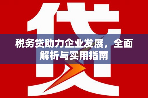丰顺税务贷助力企业发展，全面解析与实用指南