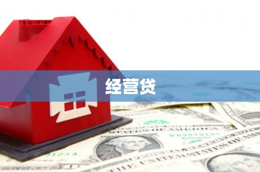 谢家集经营贷
