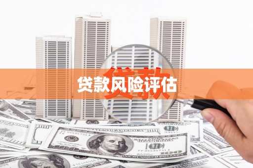 屯门贷款风险评估