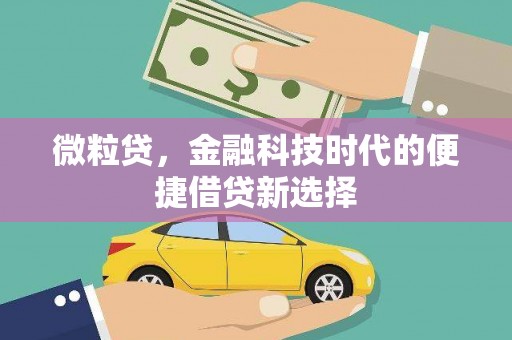 林芝微粒贷，金融科技时代的便捷借贷新选择
