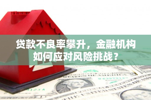 苍梧贷款不良率攀升，金融机构如何应对风险挑战？