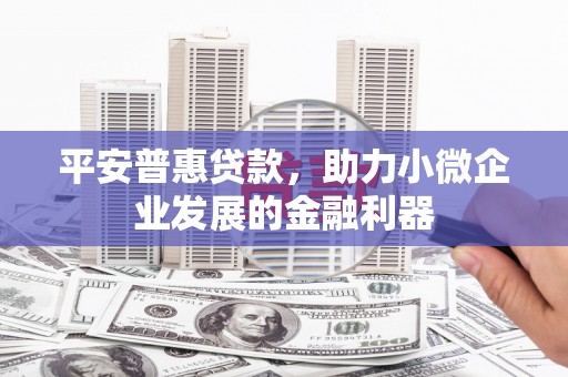 丹凤平安普惠贷款，助力小微企业发展的金融利器