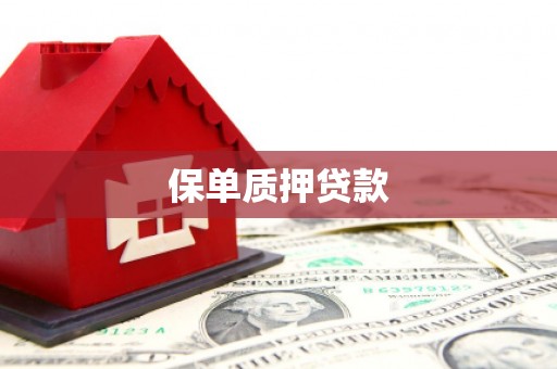玄武保单质押贷款