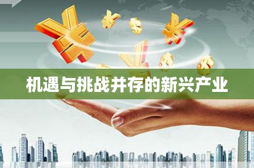 西昌机遇与挑战并存的新兴产业