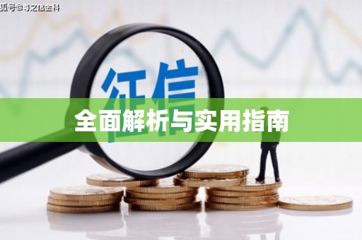 新泰全面解析与实用指南