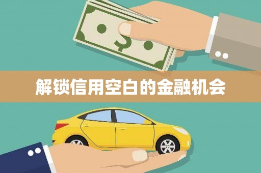 宽甸解锁信用空白的金融机会