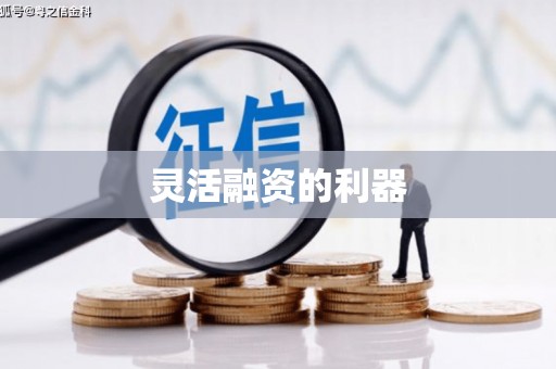 海端灵活融资的利器