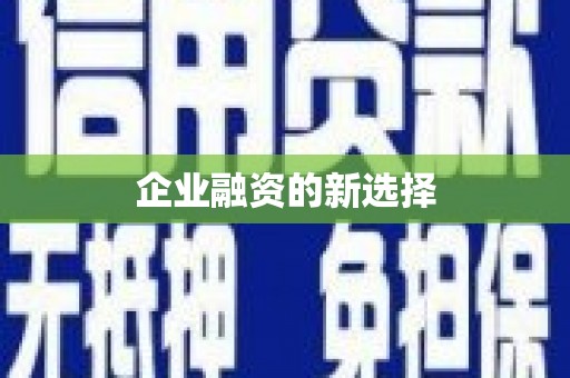 峨边企业融资的新选择