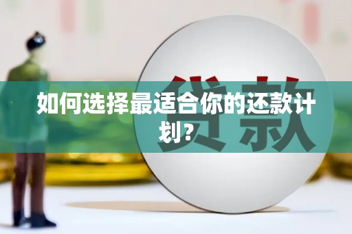 凤城如何选择最适合你的还款计划？