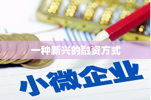 泸西一种新兴的融资方式